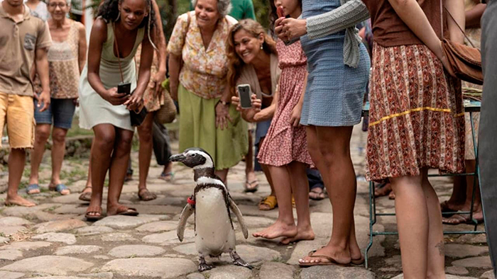 кадр Мой пингвин 3