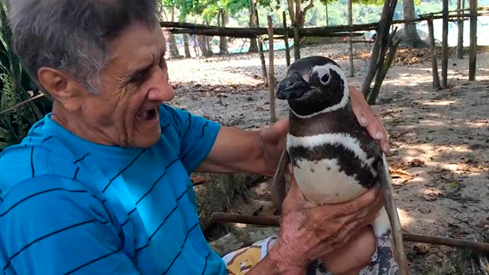 кадр Мой пингвин 4