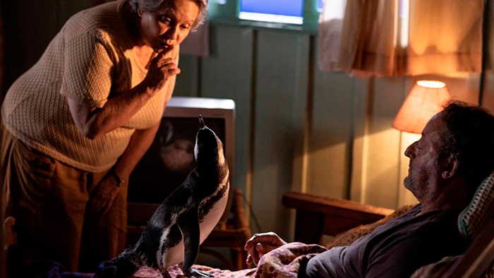 кадр Мой пингвин 8