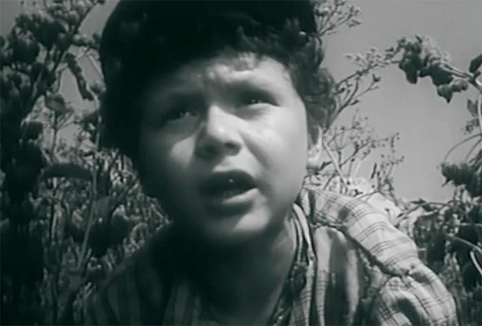 Фильм «На графских развалинах» (1957) - сюжет, актеры и роли, кадры из ...