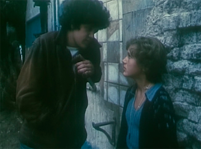 Фильм «Наследница по прямой» (1982) - сюжет, актеры и роли, кадры из фильма