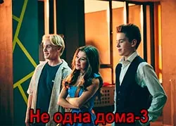 Не одна дома-3