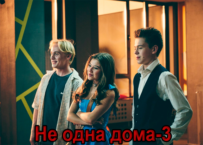 Постер фильма Не одна дома-3 Постер фильма Не одна дома-3
