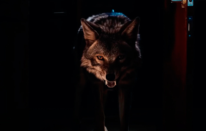 Кадр из фильма Ночь койота кадр Ночь койота 4