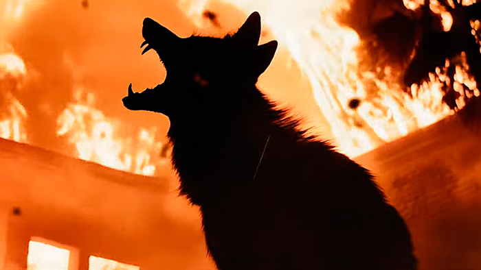 Кадр из фильма Ночь койота кадр Ночь койота 5