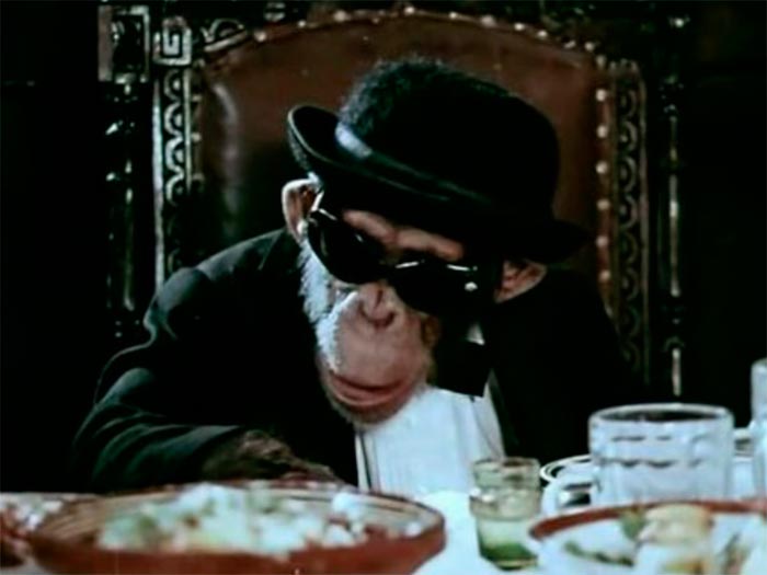 кадр Новые приключения Дони и Микки 3