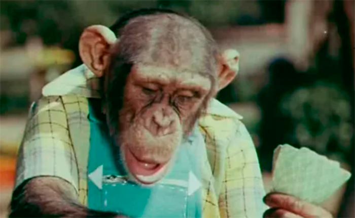 кадр Новые приключения Дони и Микки 7