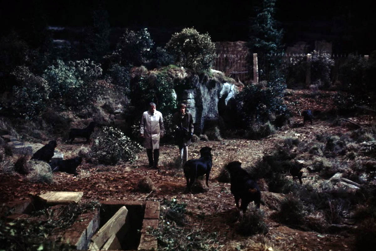 Кадр из фильма Омен кадр Омен 22