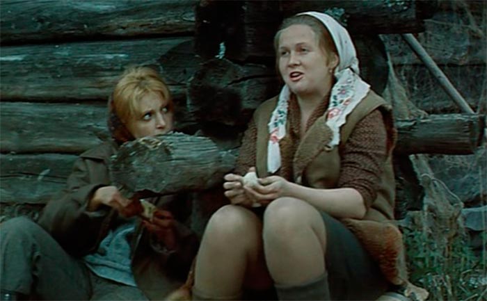 кадр Осень 11