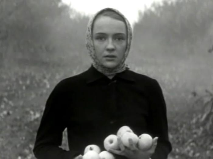 кадр Осенние свадьбы 3