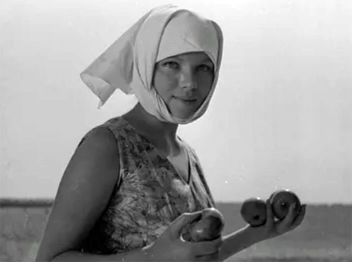 кадр Осенние свадьбы 8