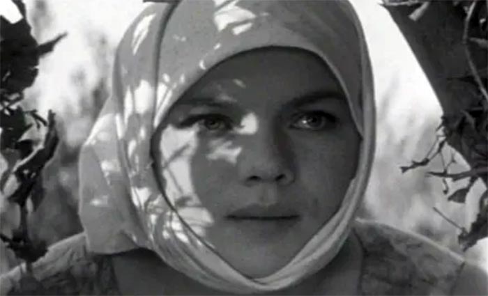 кадр Осенние свадьбы 10