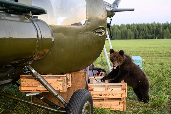 кадр Пальма 2 6