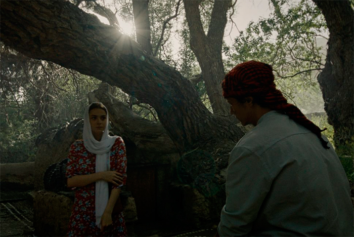 кадр Пастбища богов 10