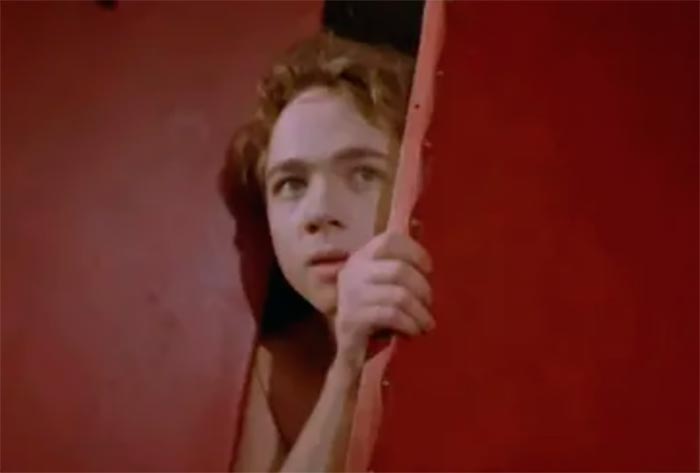 кадр Пчёлка 9