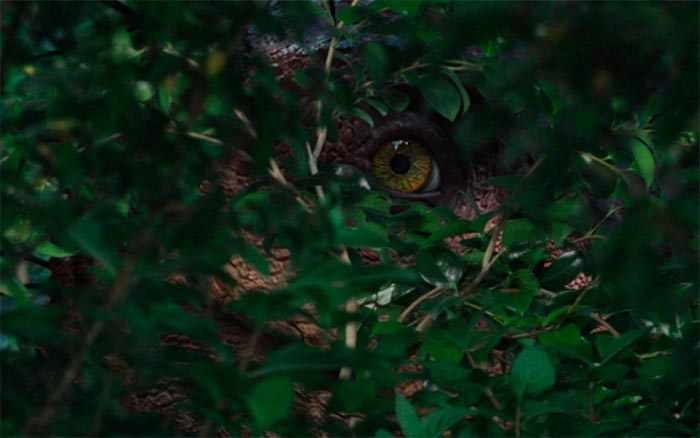 Кадр из фильма Питомец Юрского периода. Возвращение домой кадр Питомец Юрского периода. Возвращение домой 7