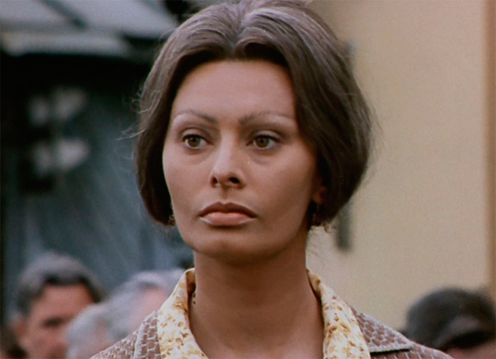 кадр Подсолнухи 2