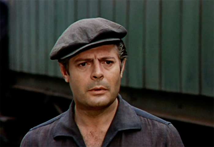 кадр Подсолнухи 3