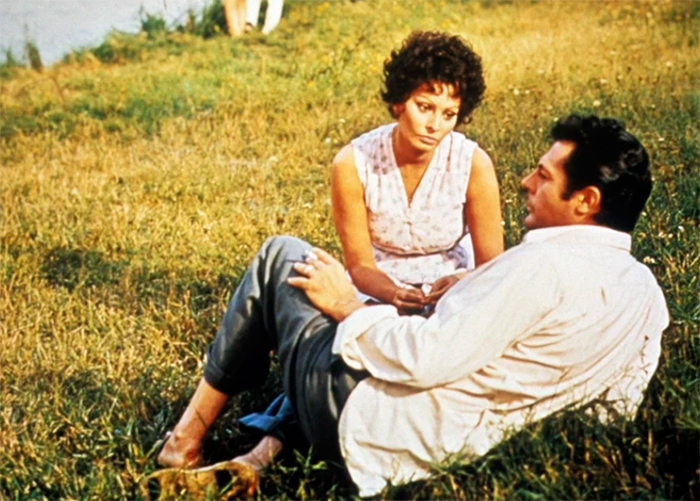 кадр Подсолнухи 5