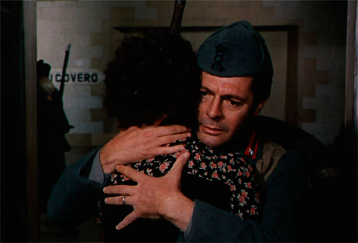 кадр Подсолнухи 6