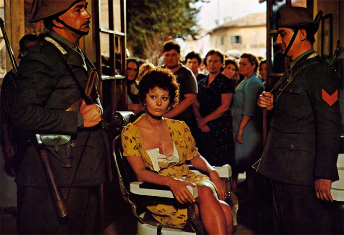 кадр Подсолнухи 7