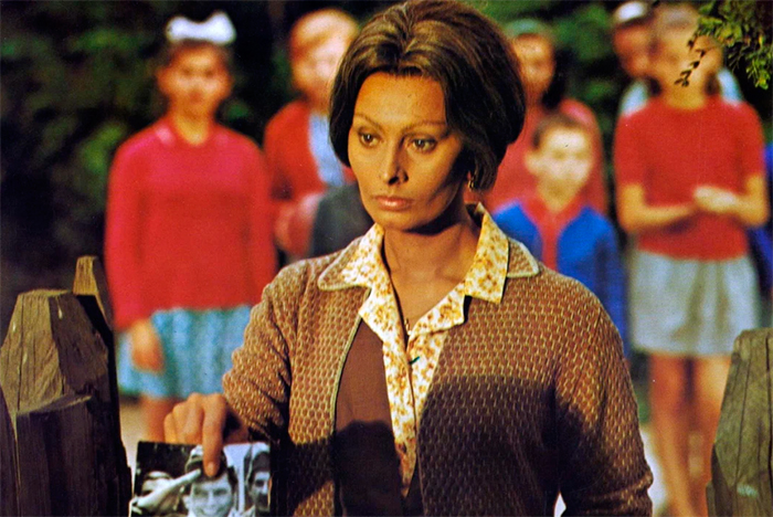 кадр Подсолнухи 8