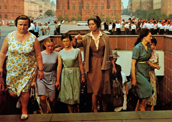 кадр Подсолнухи 11