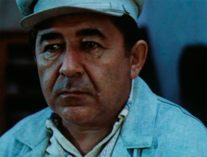 кадр Последняя инспекция 5