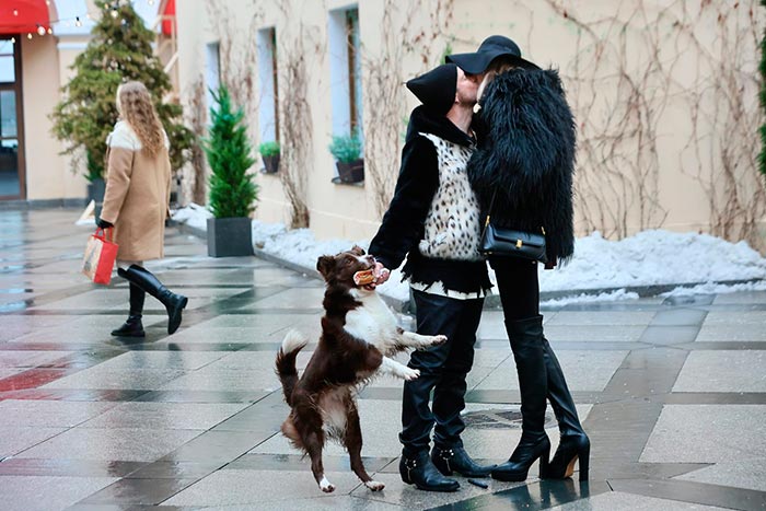 Кадр из фильма Поймай собаку, если сможешь кадр Поймай собаку, если сможешь 9