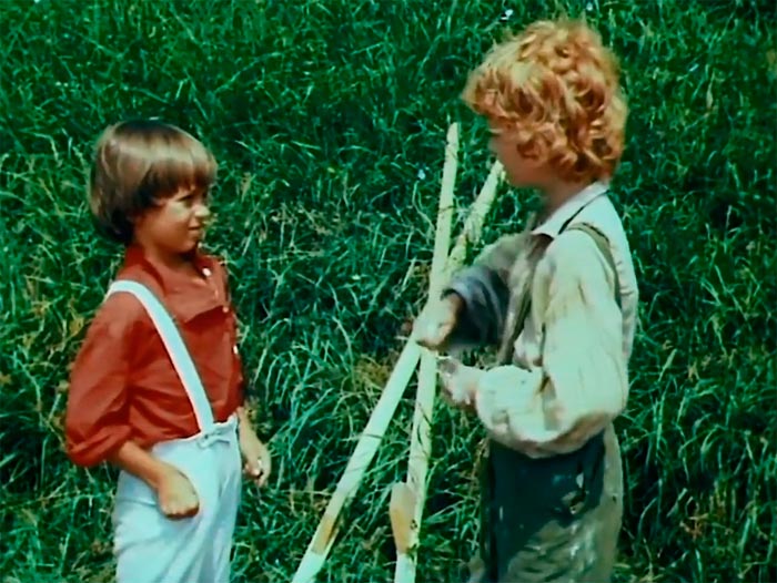 Кадр из фильма Приключения Тома Сойера и Гекльберри Финна кадр Приключения Тома Сойера и Гекльберри Финна 11