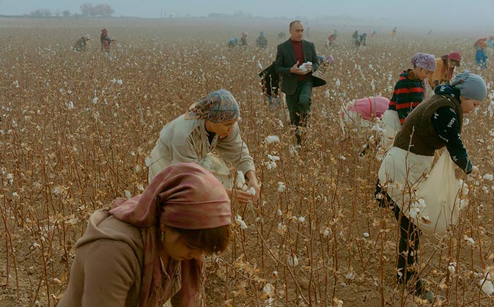 кадр Продукты 24 7