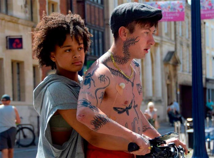 кадр Птица 2