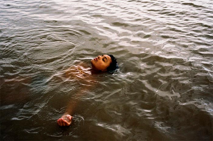 кадр Птица 10