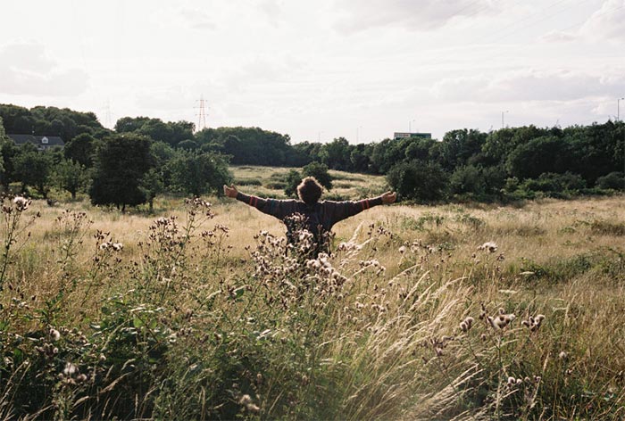 кадр Птица 11