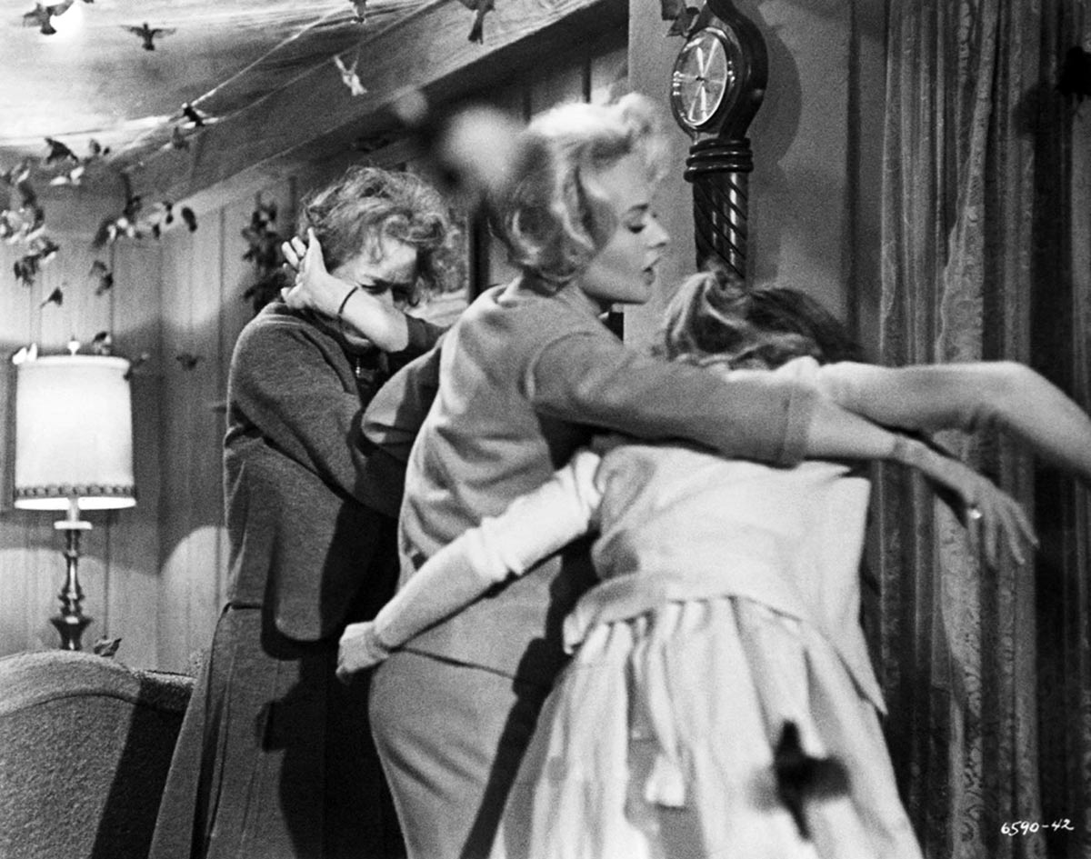 кадр Птицы 4