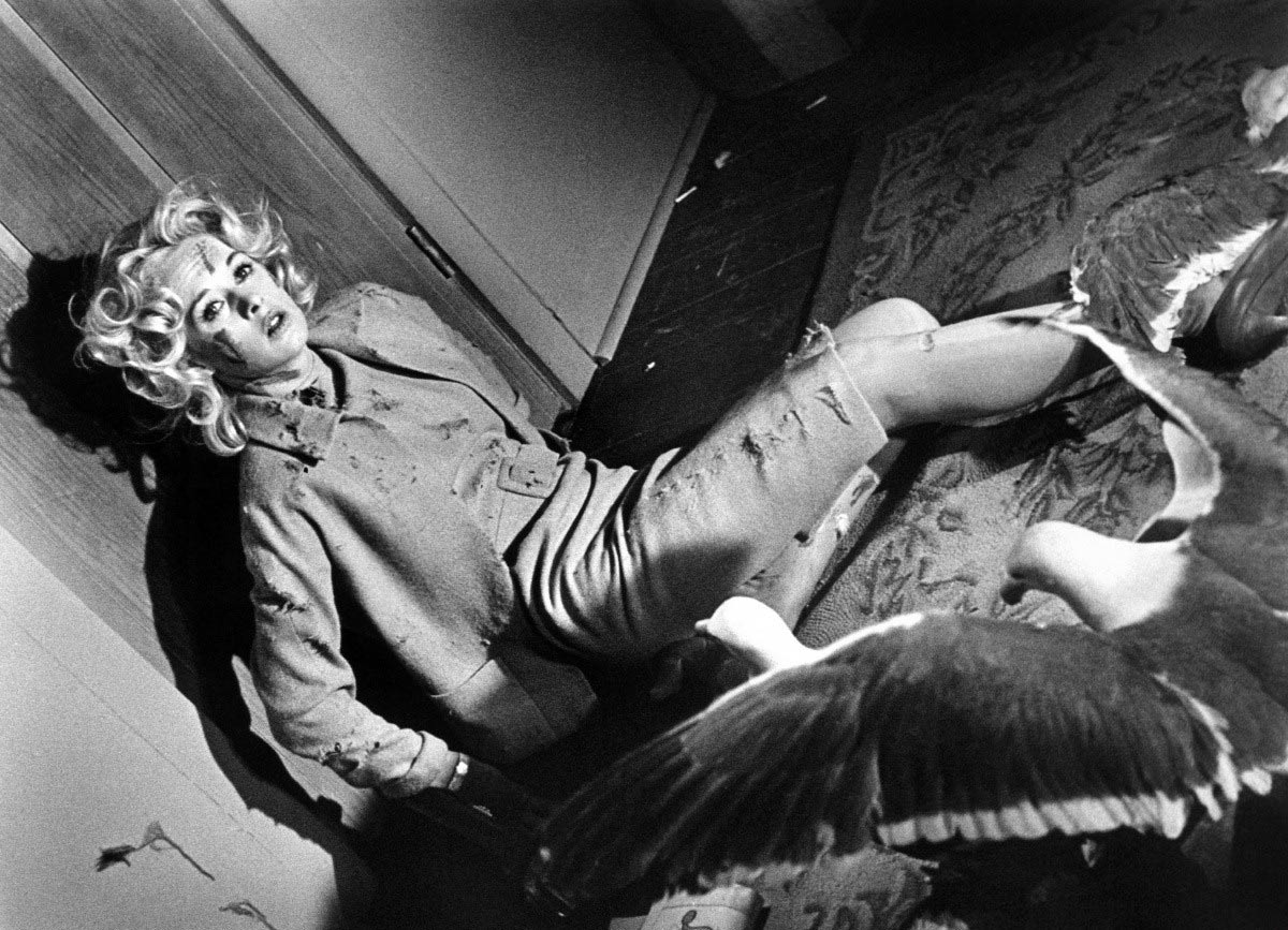 кадр Птицы 6