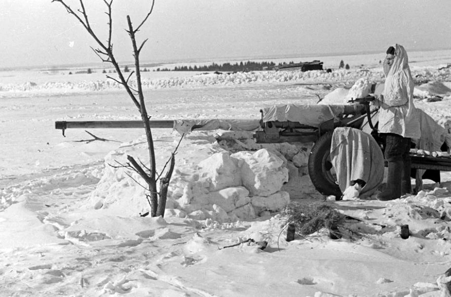 Разгром немецких войск под москвой 1942