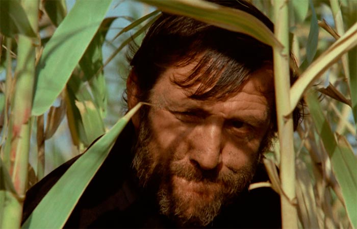 кадр Ромовый бульвар 8