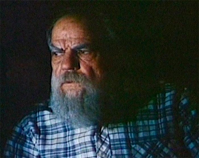 кадр Русские братья 2