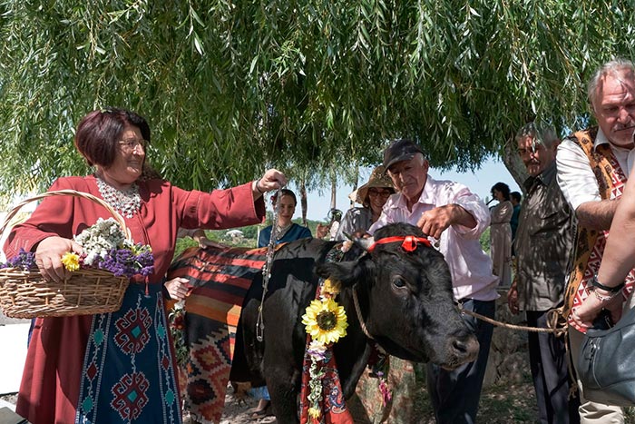 Кадр из фильма Семь дней, семь ночей кадр Семь дней, семь ночей 8