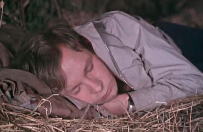 Фильм «Шофёр поневоле» (1958) - сюжет, актеры и роли, кадры из фильма