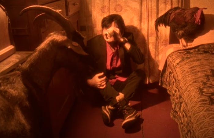 Кадр из фильма Снег, сестра и росомаха кадр Снег, сестра и росомаха 6