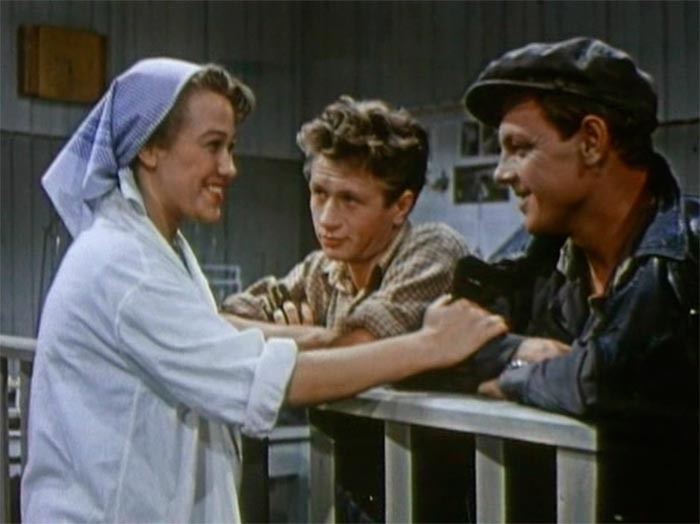 Кадр из фильма Ссора в Лукашах кадр Ссора в Лукашах 3