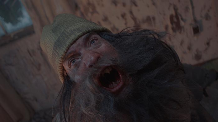 кадр Сталкер. Чёрная плесень 3