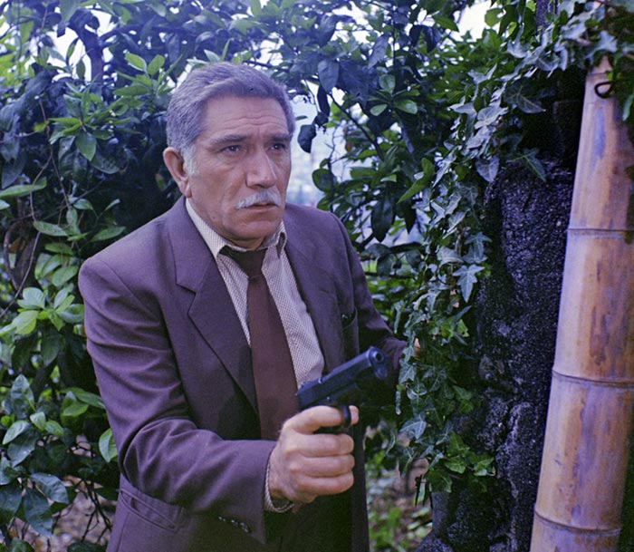 кадр Тайны мадам Вонг 6