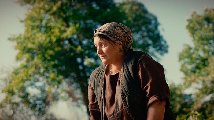 кадр Три свадьбы и один побег 6