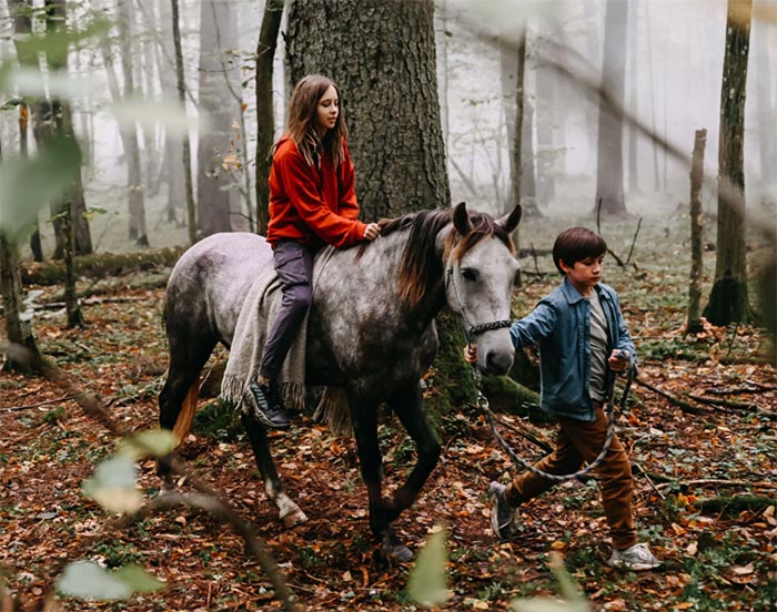 кадр Туда и обратно 7