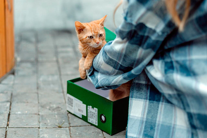 кадр Твоё сердце будет разбито 11