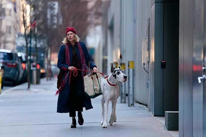 Кадр из фильма Верный друг кадр Верный друг 5