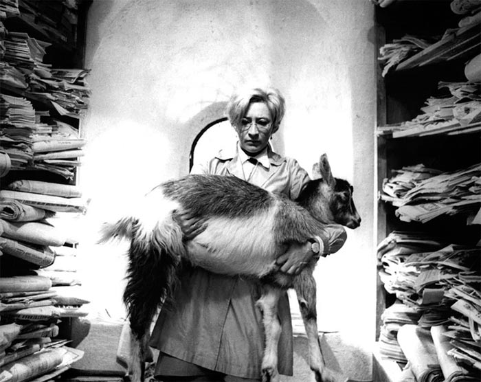 кадр Весёлое волшебство 11